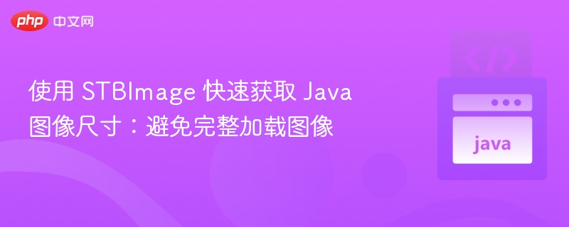 使用 STBImage 快速获取 Java 图像尺寸：避免完整加载图像