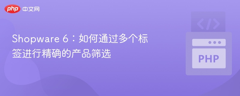 Shopware 6：如何通过多个标签进行精确的产品筛选