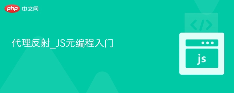 代理反射_JS元编程入门