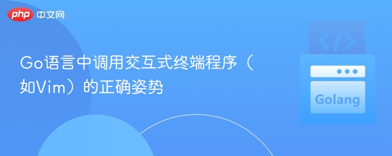 Go语言中调用交互式终端程序（如Vim）的正确姿势
