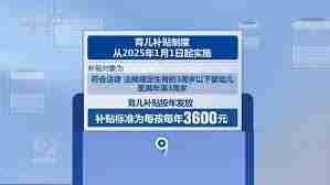 育儿补贴政策能持续到何时