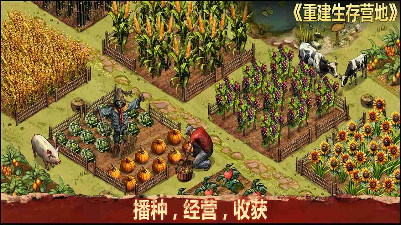 重建生存营地兑换码大全2025