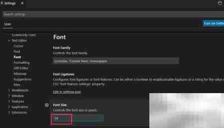VS Code字体大小设置方法
