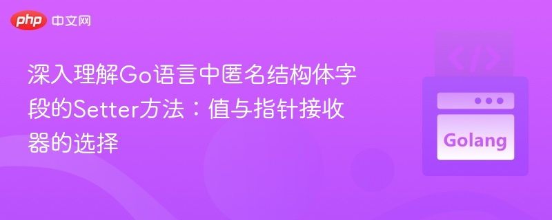 深入理解Go语言中匿名结构体字段的Setter方法:值与指针接收器的选择