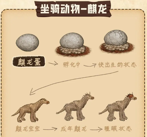 村落人生特殊物品介绍