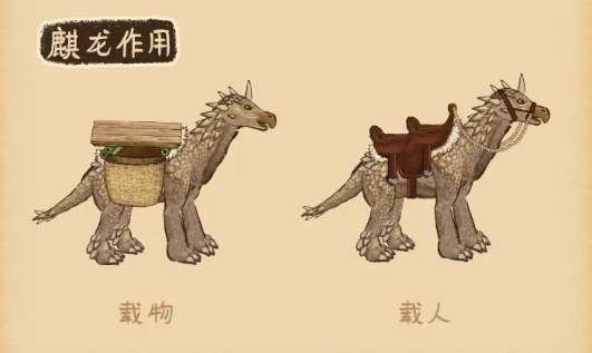 村落人生特殊物品介绍