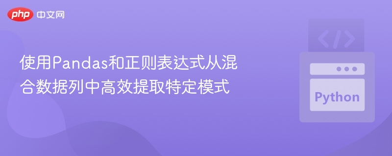 使用Pandas和正则表达式从混合数据列中高效提取特定模式