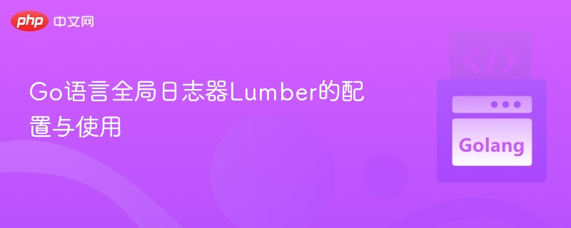 Go语言全局日志器Lumber的配置与使用