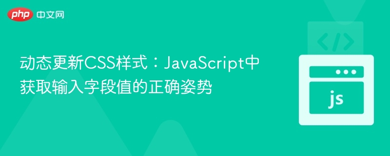 动态更新CSS样式：JavaScript中获取输入字段值的正确姿势