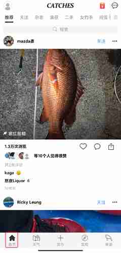 《渔获》使用教程