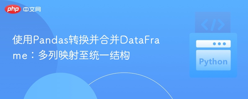 使用Pandas转换并合并DataFrame：多列映射至统一结构