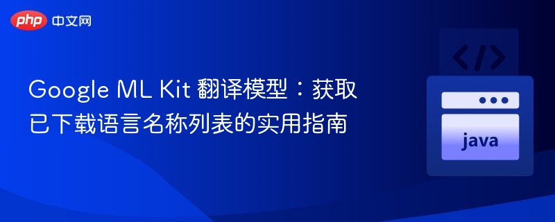 Google ML Kit 翻译模型：获取已下载语言名称列表的实用指南
