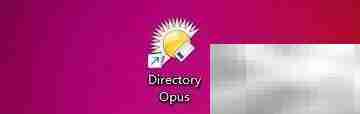 Directory Opus工具栏隐藏延迟设置