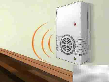 最有效驱鼠方法大揭秘