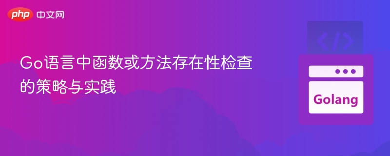 Go语言中函数或方法存在性检查的策略与实践