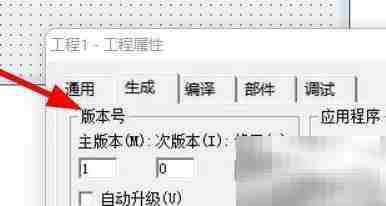 VB版本号设置方法