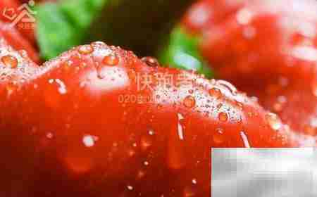 免费采购菜配送系统优势