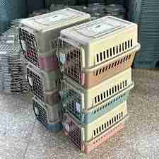 12306能否托运宠物