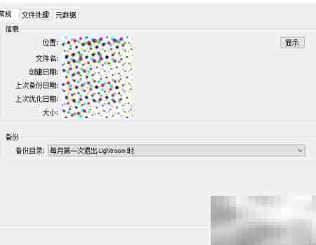 Lightroom目录备份设置技巧