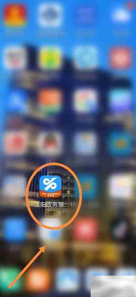 沈阳政务数据秘书查询指南