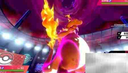 宝可梦剑盾存档删除方法