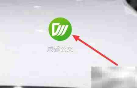 成都公交用户协议查看指南