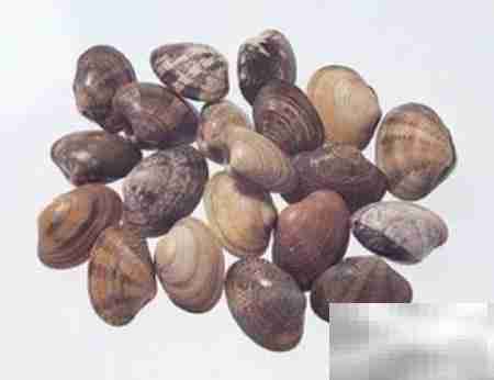 炒小贝:鲜香美味一锅出