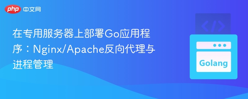 在专用服务器上部署Go应用程序：Nginx/Apache反向代理与进程管理
