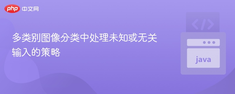 多类别图像分类中处理未知或无关输入的策略