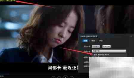 如何用看看播放器加载网络字幕