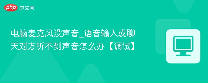 电脑麦克风没声音_语音输入或聊天对方听不到声音怎么办【调试】