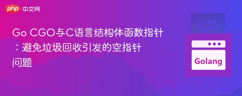 Go CGO与C语言结构体函数指针：避免垃圾回收引发的空指针问题
