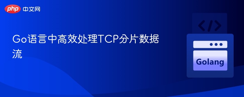 Go语言中高效处理TCP分片数据流