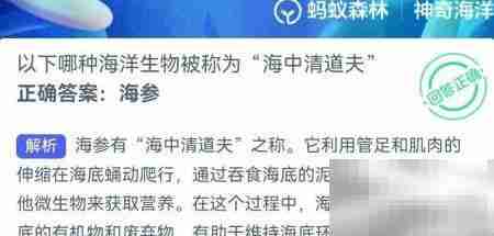 海中清道夫是哪种生物?