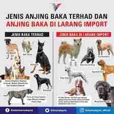 禁养犬如何合法饲养