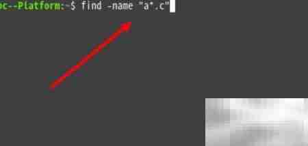 Linux文件存在却找不到?