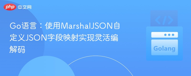 Go语言：使用MarshalJSON自定义JSON字段映射实现灵活编解码
