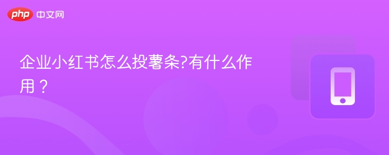 企业小红书怎么投薯条?有什么作用？