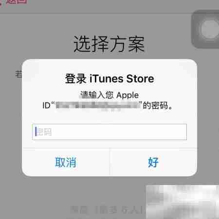 Apple Music开通使用指南