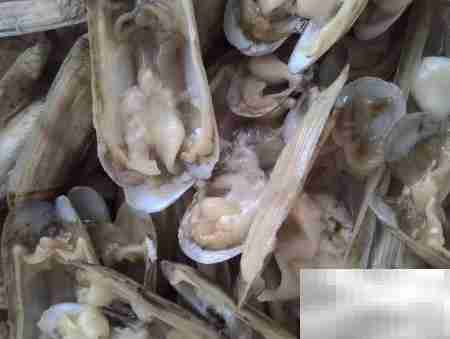 蒜末拇指蛤汤:鲜香开胃