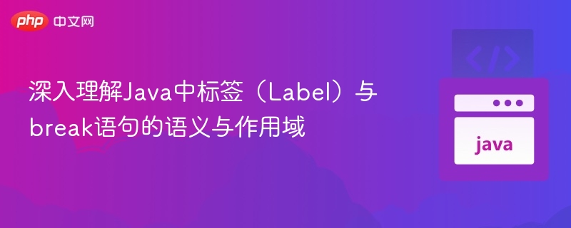 深入理解Java中标签(Label)与break语句的语义与作用域