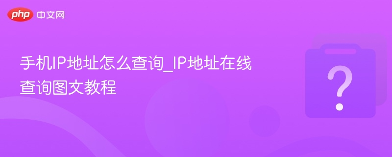 手机IP地址怎么查询_IP地址在线查询图文教程