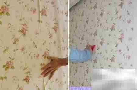 诗韵家居:墙纸验收要点