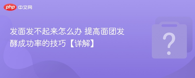 发面发不起来怎么办 提高面团发酵成功率的技巧【详解】