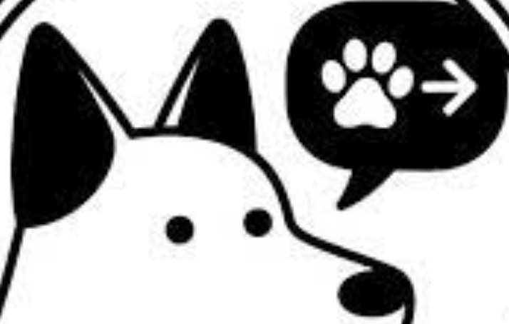 兽语翻译在线怎么操作_兽语在线翻译平台的使用流程与注意事项