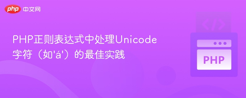 PHP正则表达式中处理Unicode字符(如'á')的最佳实践