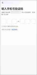 Lark注册收不到验证码怎么办