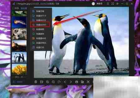 金山WPS批量加水印教程