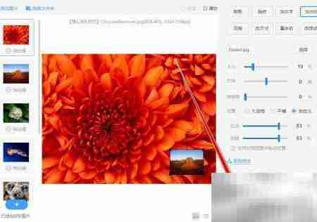 金山WPS批量加水印教程