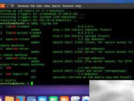 Ubuntu16.04远程登录Linux方法